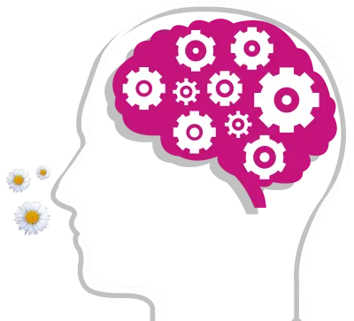 Ilustración de una cabeza con el cerebro y una flor: el olfato conecta con el sistema límbico